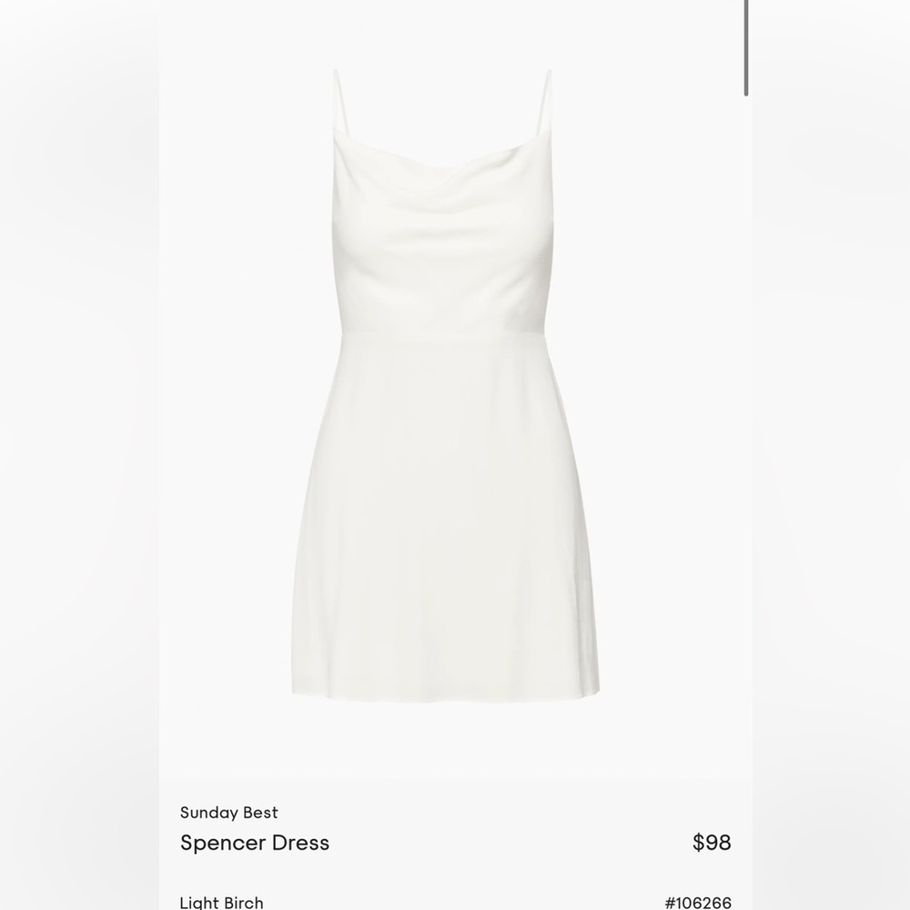 Aritzia Sunday Best Spencer Dress